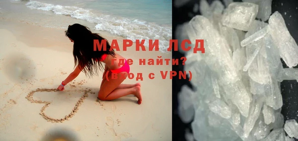индика Богородицк
