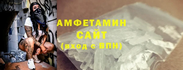 индика Богородицк