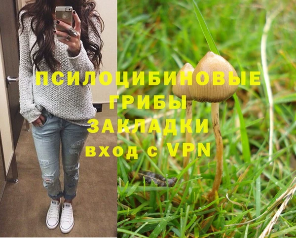 СК Беломорск