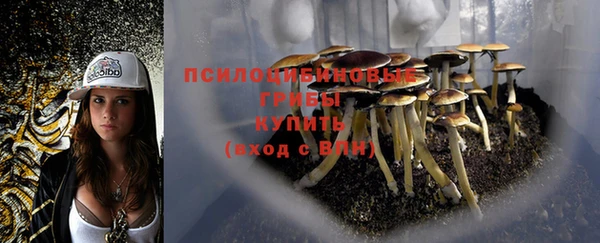 ГАЛЛЮЦИНОГЕННЫЕ ГРИБЫ Богородск