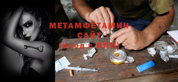 индика Богородицк