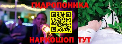 прущие грибы Моздок