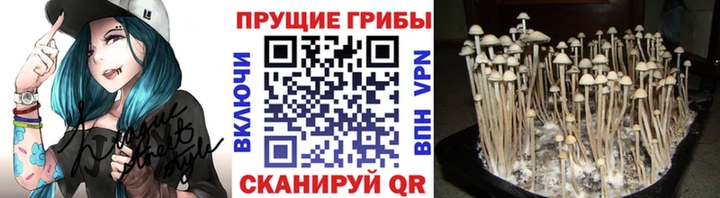 ОМГ ОМГ рабочий сайт  Великий Устюг  Псилоцибиновые грибы GOLDEN TEACHER 