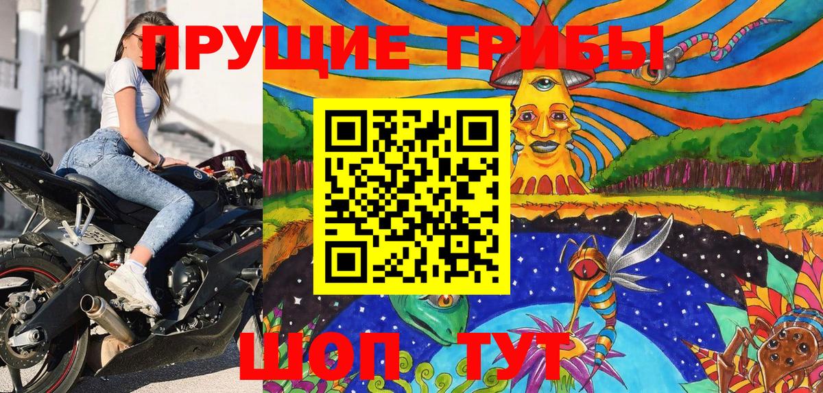 Псилоцибиновые грибы Psilocybe Великий Устюг