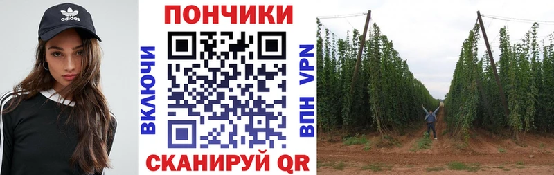 KRAKEN как зайти  Великий Устюг  Бошки марихуана ГИДРОПОН 